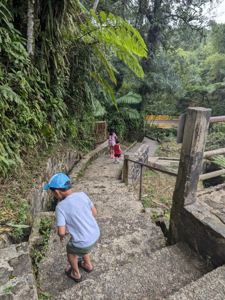 I quit my job to be on my children's adventure