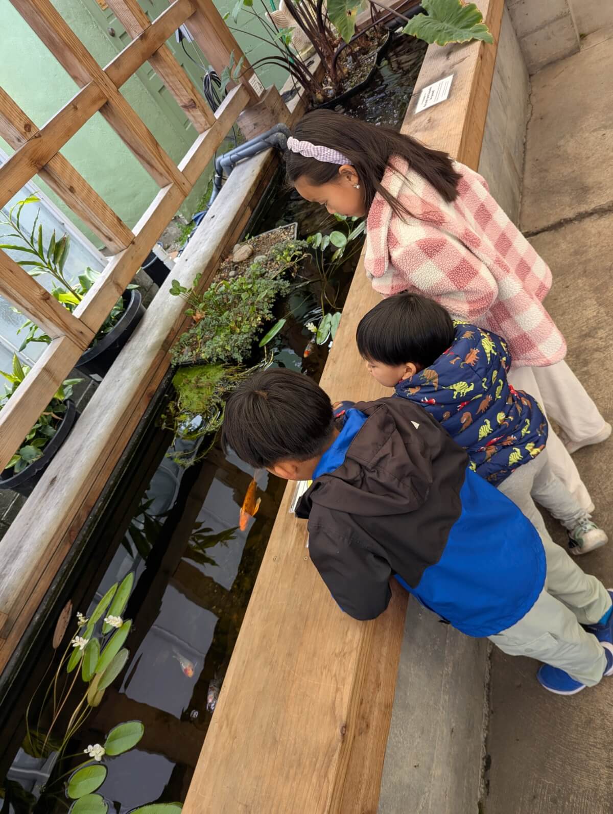 Stepping back being just a stay at home mom