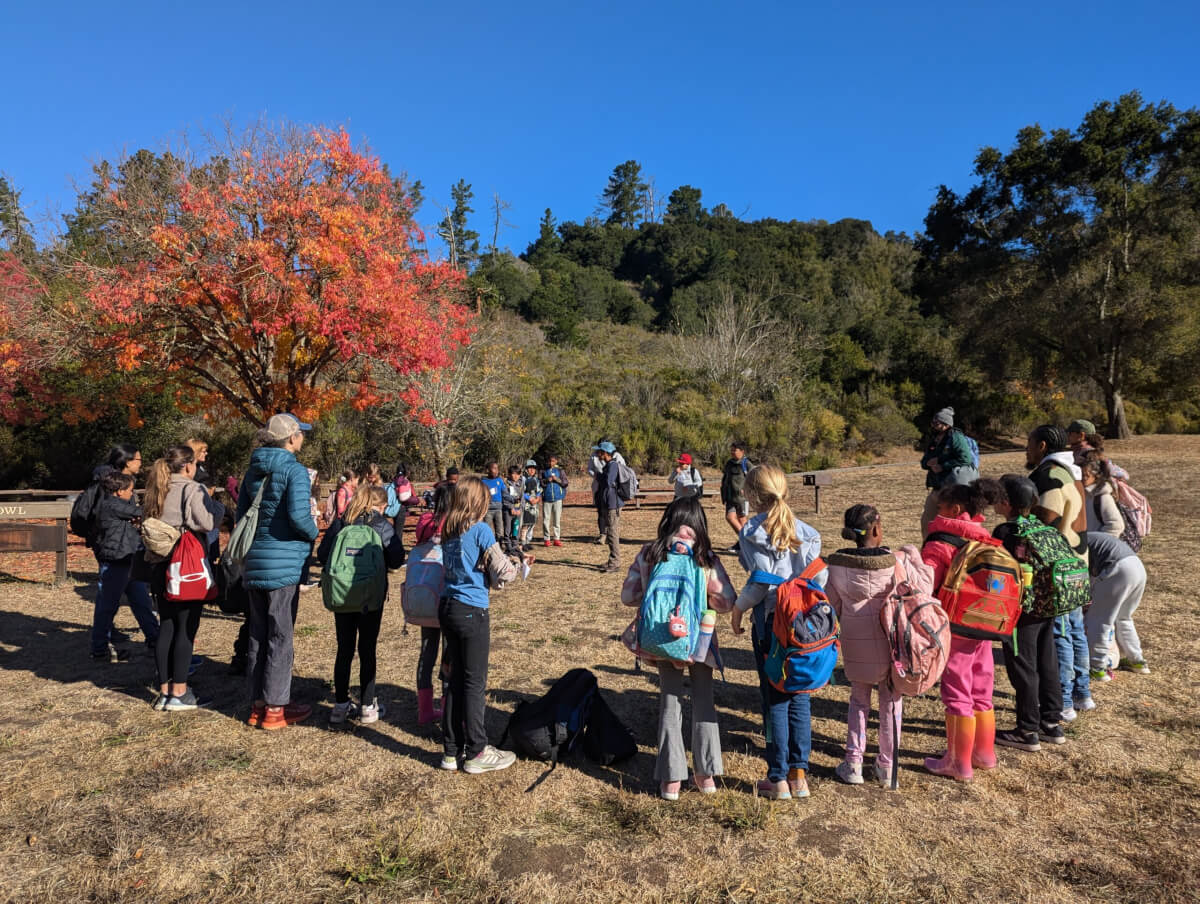 Chaperoning a class field trip