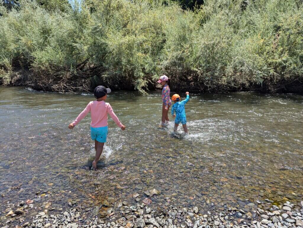 My gang on summer's vacation